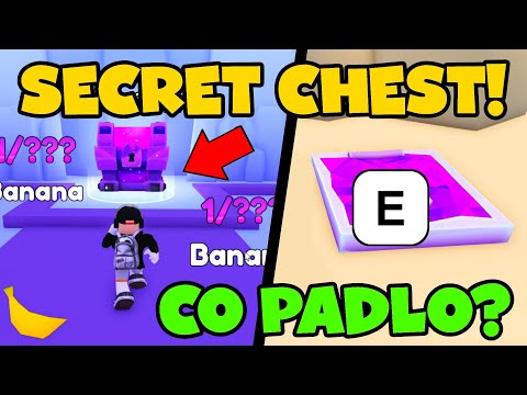 SECRET CHEST a KEY 😱 TAJNÁ MÍSTNOST a tohle mi padlo 🤑 Pets Go!