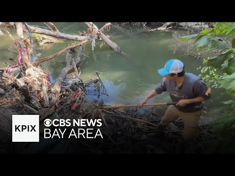 YouTube video thumbnail: New California Law Will Help Cities Clear Up Abandoned Shopping Carts Quicker