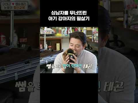 아기 비글의 애교 눈빛👀💓 #개밥남