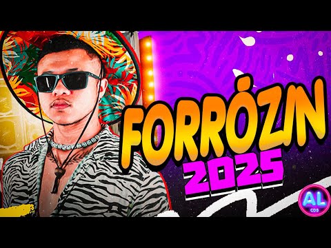 O REI DO FORRÓZIN - AS MAIS TOCADAS DO TIK TOK 2025 - FORRÓZIN PRA PAREDÃO - RAMONZIN LAPADA