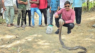बघा या विडिओ मध्ये लोकांना घाबरून नाग कसा झाडा वर जाऊन बसला 😱🐍