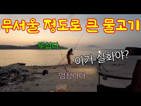 다리 밑에서 이런게 잡힌다고요? 너무 커서 무서워요.. 하지만 보양식이니까 먹자!!
