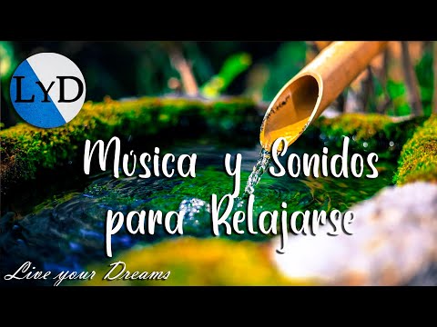 Música Relajante Zen con Sonido del Agua ☯️ Libera el Estrés y la Ansiedad y a Dormir 🛌