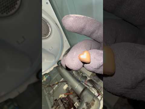 Classical Cleaning 🎼🐸🎼 #oddlysatisfying #satisfyingvideo