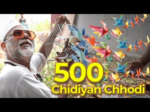Ek Baar Mein 500 Chidiyan Chhodi | Sabko Aasman Mila!