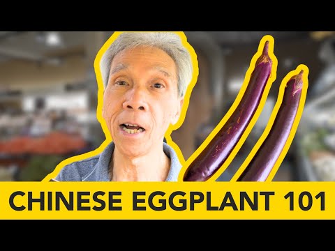 🍆 Chinese Eggplant 101: The COMPLETE GUIDE!