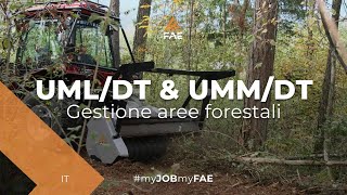 Video - FAE UML/DT & UMM/DT - Le trince forestali FAE al lavoro su trattori Merlo TreEmmeVR150 e Chaptrack280