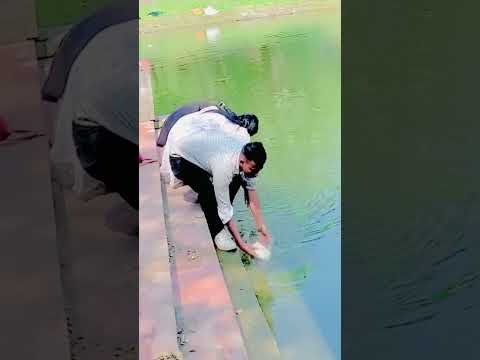 #shortvideo #funny
