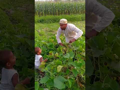 যে কালিমা পড়লে সকল গুনাহ মাপ হয় সে কালিমাটি পড়বেন না #foryou #foryoupege  #vairalvideo #youtube