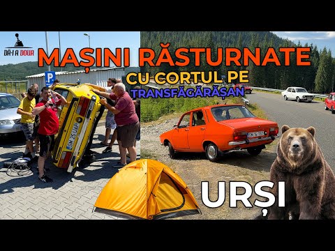 Masini Rasturnate - Ursi - Cu Cortul pe Transfagarasan si Transalpina