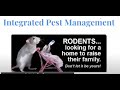 Pest Control Best Practices