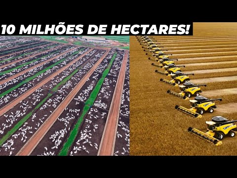 CONHEÇA A MAIOR FAZENDA DO MUNDO - MILHÕES DE HECTARES!