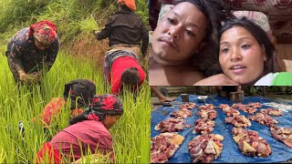 Ekthal khayra lagiyo duty tira😂hamro buda budiko para🤞#siruthapamagar #villagelife #vlog 