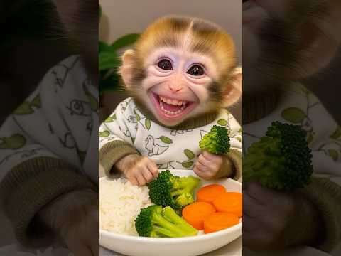 🐵 Baby Monkey Loves Healthy Veggies! | Cute Monkey Eating Rice, Broccoli & Carrots 🥦🍚