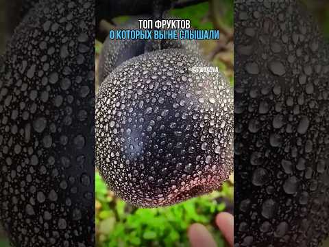 Самые странные фрукты в мире