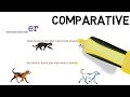 Comparative and Superlative Forms in German Adjectives