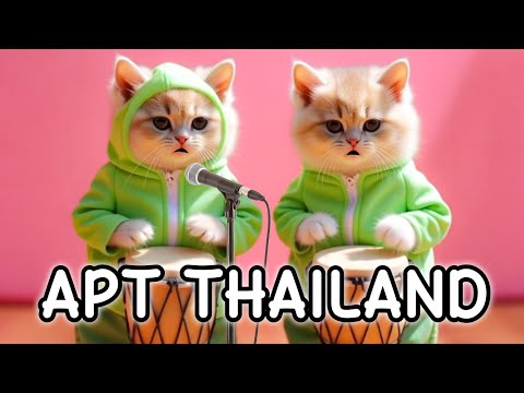 APT THAILAND VERSI KUCING LUCU WARNA WARNI GEMOY