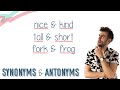 Exploring Synonyms and Antonyms in English