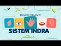 Understanding the Human Sensory System