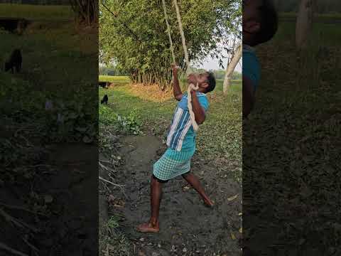 The rope was hung on the tree.