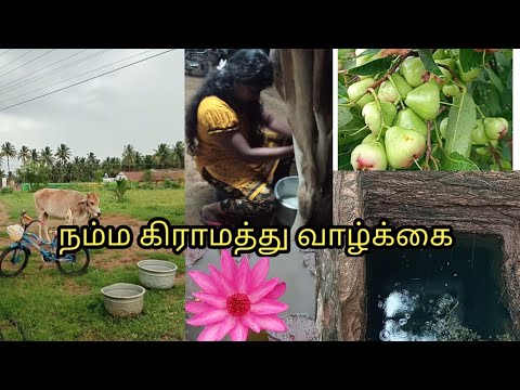 நம்ம கிராமத்து வாழ்க்கை