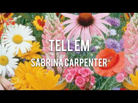 【Lyrics 和訳】Tell em - Sabrina Carpenter