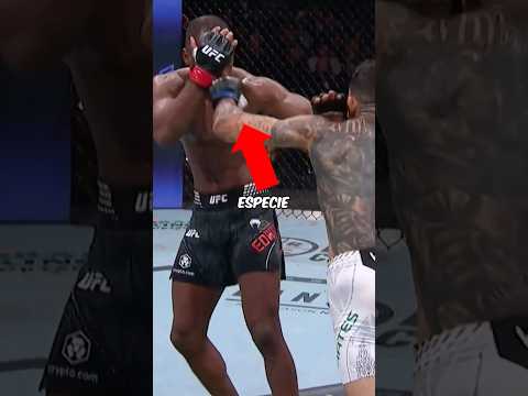 Este Peleador Hizo Algo Increíble! 🥰