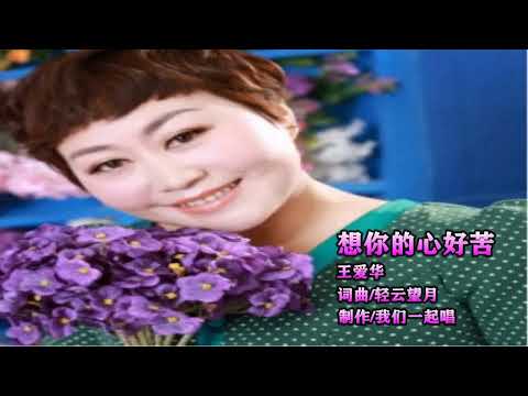 王爱华  想你的心好苦   KTV