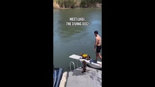 It’s a 10/10 from us! 🙌