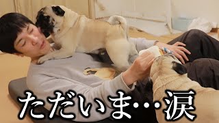 【韓国最終回】もう、離れたくない。初めて何日も会えなかった愛犬と再会しました