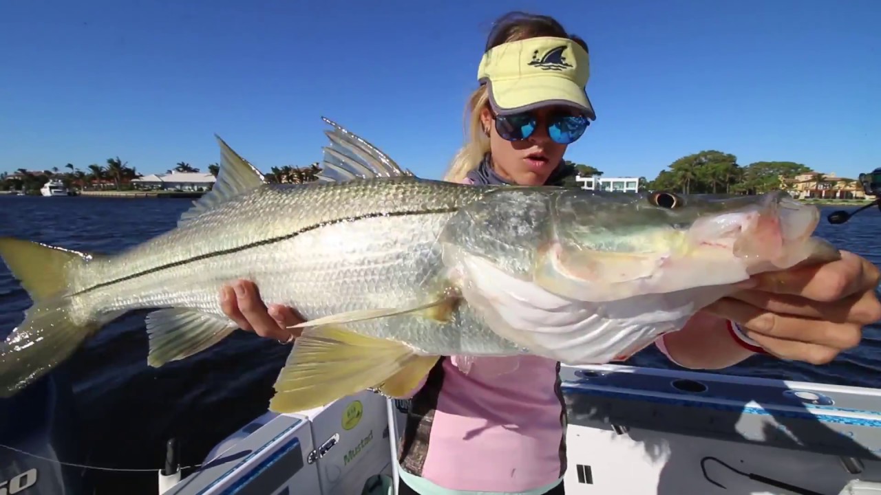CATCH FISH the easy way. Trolling Inshore for Keeper Snook and MORE!