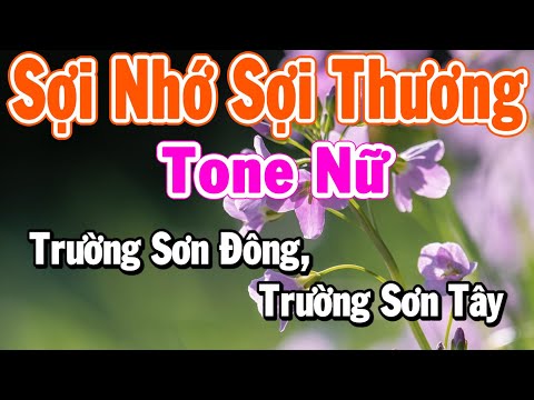 Karaoke Sợi Nhớ Sợi Thương Tone Nữ Nhạc Dễ Hát Nhất 2025 || Làng Hoa Karaoke