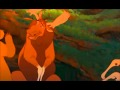 Understanding the Transcript