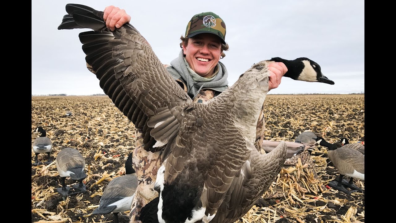 First Hunting Vlog! Southern Manitoba Goose Hunt. - Jay Siemens
