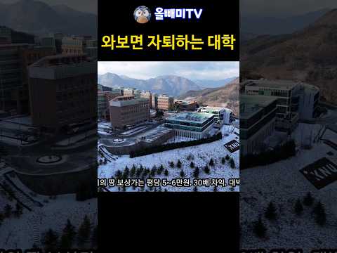 고랭지 배추밭 대학에 30배 땅 투기