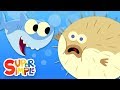 Counting Fishies and Shark's Role