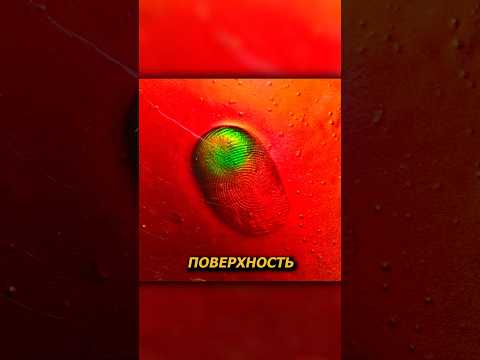 Живая ткань