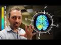 Magnetoreception and Brain Activity