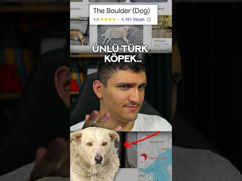 ŞANS ESERİ ÜNLENEN TÜRK KÖPEK..???