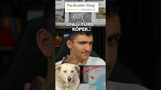 ŞANS ESERİ ÜNLENEN TÜRK KÖPEK..???