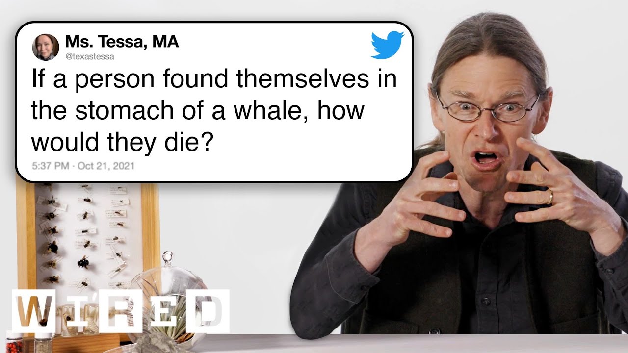 Biologist Answers Even More Biology Questions From Twitter - Tech Support
