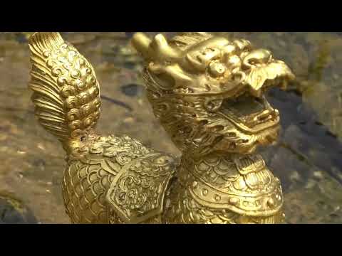 Wild Treasure Hunt: Metal Detector Takes You to Discover Hidden Treasures