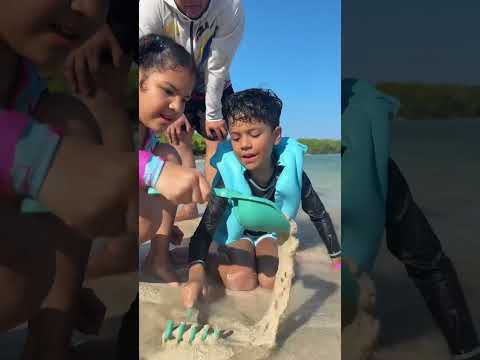 Estos chicos están abriendo un agujero para llegar a china