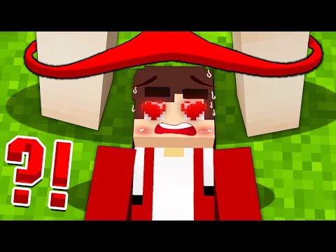 MAIZEN : JJ FELL NEAR PRETTY GIRL in VILLAGE!? - Minecraft Animation JJ & Mikey