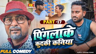 पिंगलाके कुदकी कनिया (Part-17)#Gamgharcomedy//Maithili Serial#Comedy2025