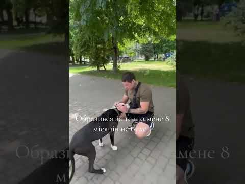 Почуття #foryou #ukraine #fyp #soldier #shorts #dog #славазсу #dogs #love #youtubeshorts