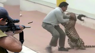 الفهد المرقط والأسد الأفريقي والصياد وجهاً لوجه 😱🔥👍👌 الجزء 1