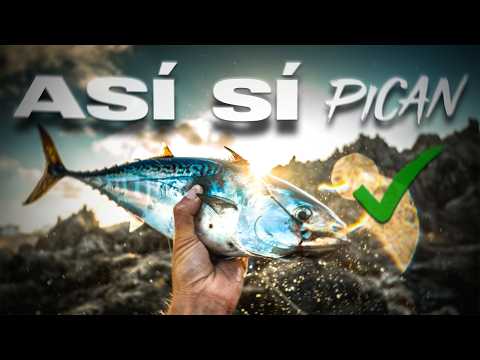 5 CLAVES que NADIE te DICE al Empezar la Pesca con Señuelos