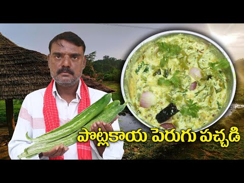 PotlakayaPeruguPachadi| పొట్లకాయ పెరుగు పచ్చడి| SnakeGourdKadhi|బ్యాచిలర్స్ కూడా ఈసీగా చేసేయొచ్చు