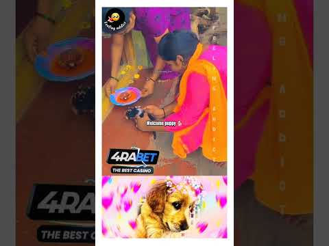 அடடா என்ன அழகான வரவேற்பு 😍🐶/baby dog 💙#doglover 🦋#shortsfeed 🖇️#shortsvideo 🐕#shorts 💖#youtubeshorts